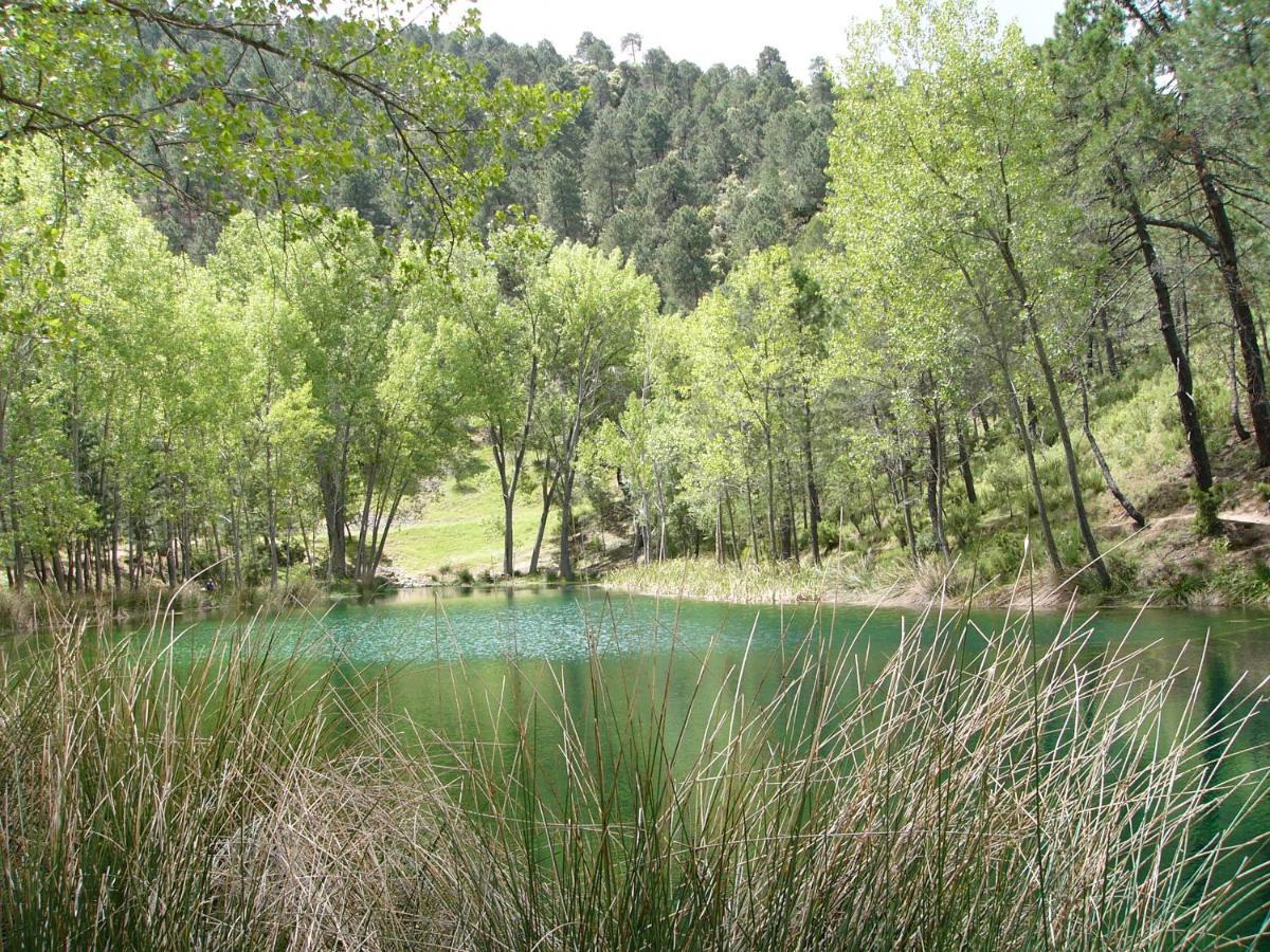 La Encina B Villa Villaverde De Guadalimar Екстериор снимка